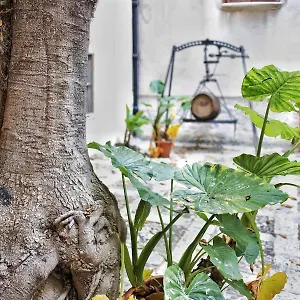 3* Bed & Breakfast Garibaldi